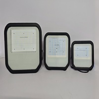50W DM Series LED Flood Light